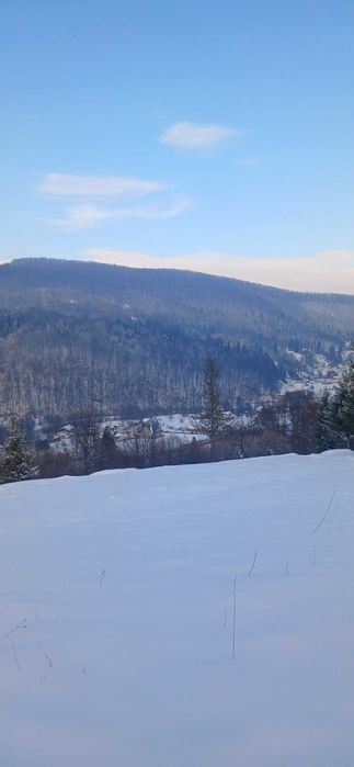 Продаю унікальну ділянку в Шешорах. 910 соток