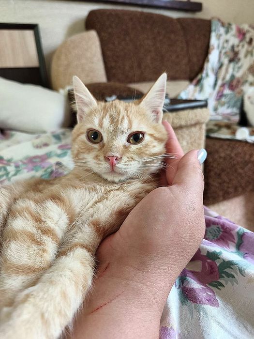 Хлопчик, 4,5 місяці