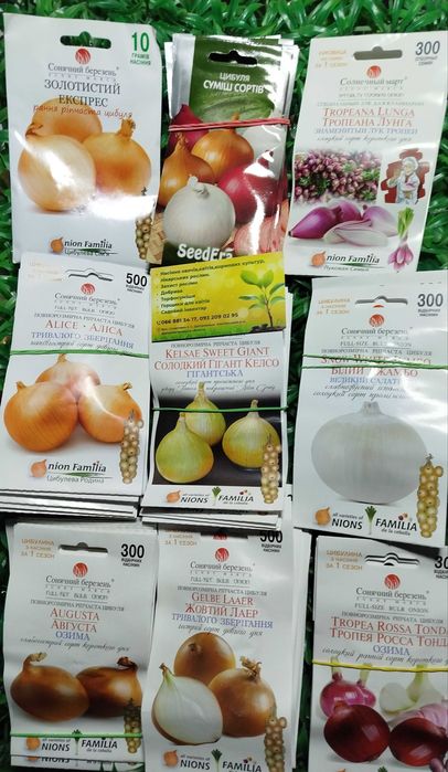 Радар Стурон Геркулес Штуттгартен  Посадков цибуля сівок Озима насіння