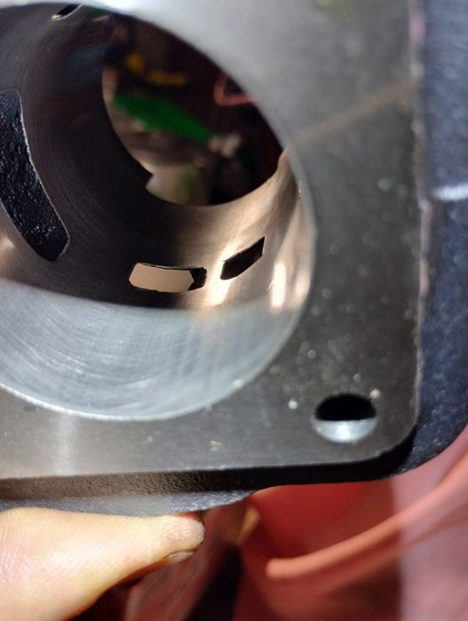 Поршнева msu 65cc. Leaf, tact