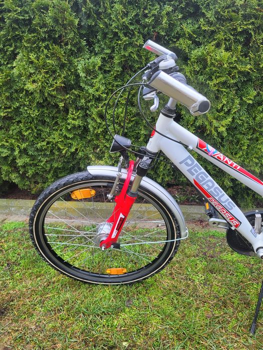 Rower Pegasus AVANTI dzieciecy 24 "