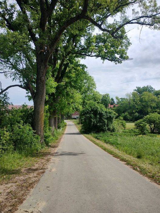 Działka rekreacyjna (nie ROD-o) z domkiem nad jeziorem 702 m2