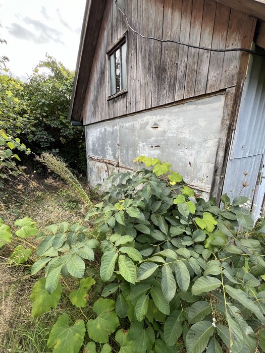 Продається земельна ділянка