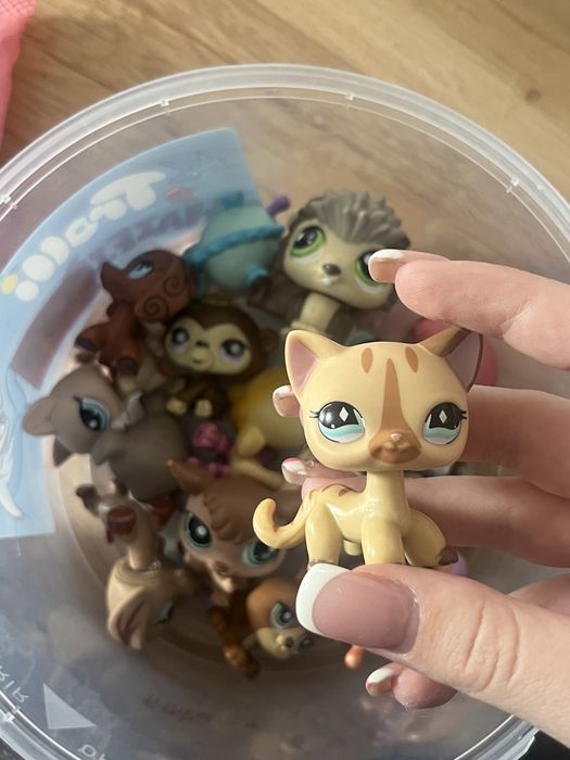 littlest pet shop shorthair Świętokrzyskie zabawki dla dzieci