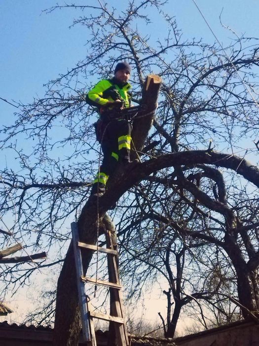 Видалення аварійних дерев,розпил дров,розчищення територій