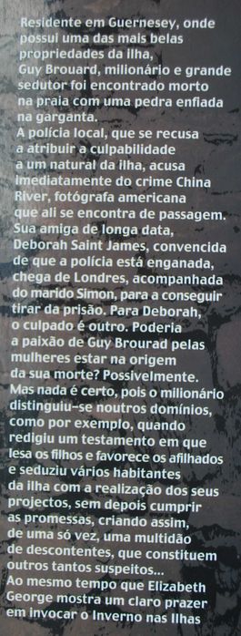 Um Ninho de Mentiras de Elizabeth George