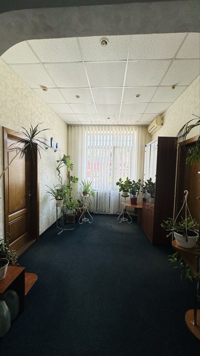 Продам коммерческое помещение, 230м2, Центр