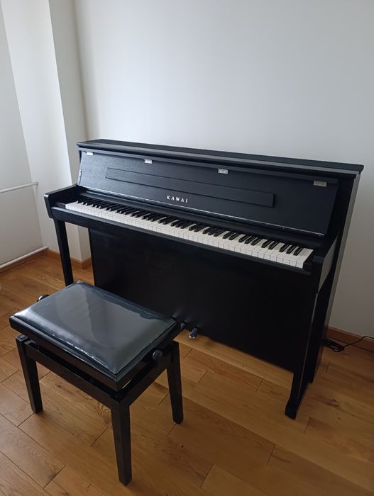 Lekcje śpiewu,  gry na pianinie, wokal, fortepian.