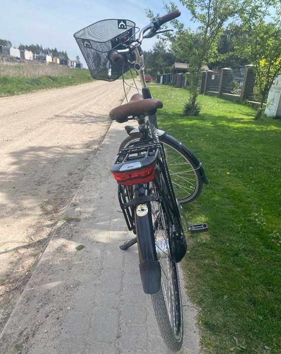 Gazelle Orange czarny