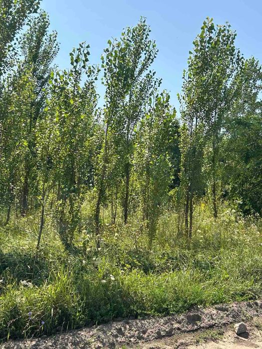 Продаж земельної ділянки в 10 хвилинах від м. Хмельницького.