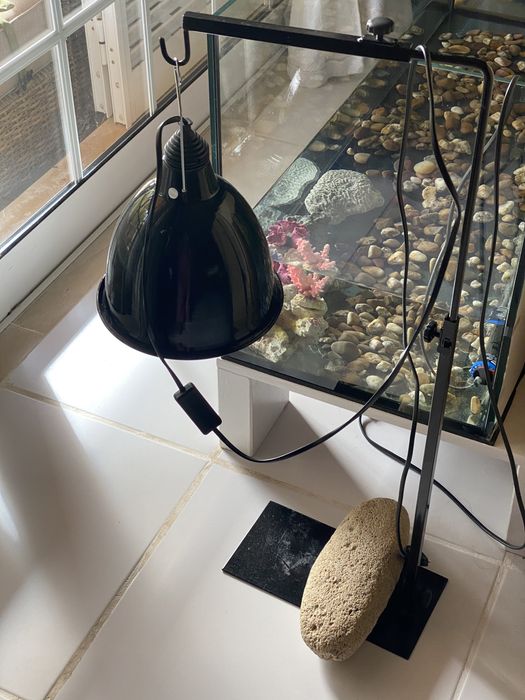 Acessórios para peixes/ répteis (6 meses utilização)