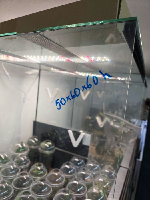 9 szt terrarium 50x60x60h