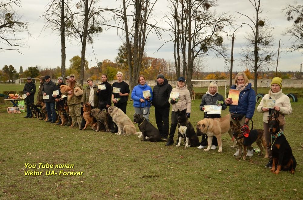 Послуги Кінолога