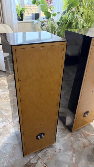 Hi-End колонки (80 кг. ) на динаміках Focal, Audax, Monacor