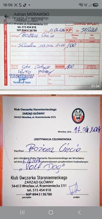 Owczarek Niemiecki