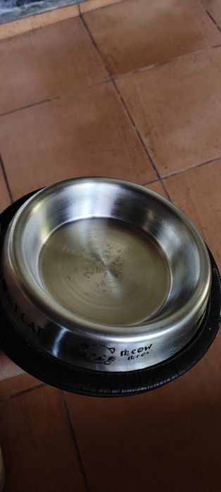Comedouro gato Inox