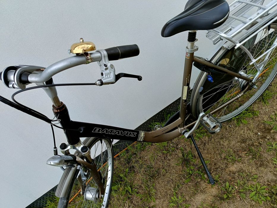 Rower batavus 28