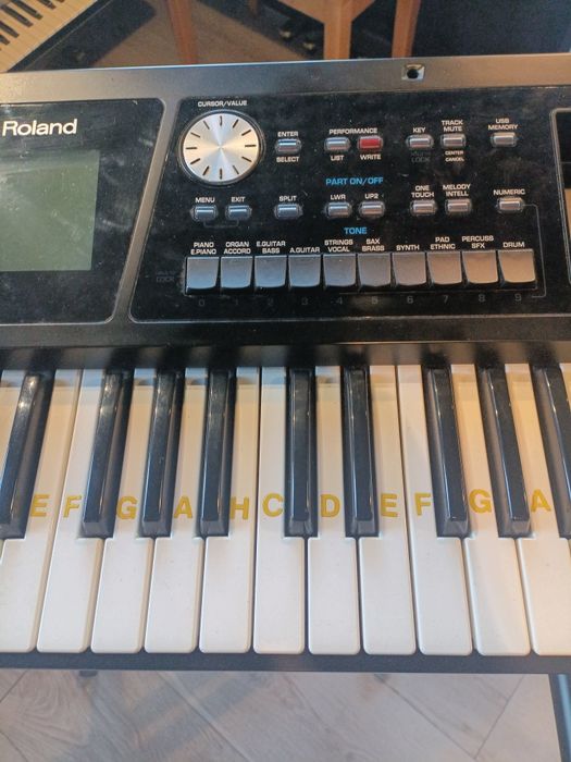 Roland BK -5 plus case