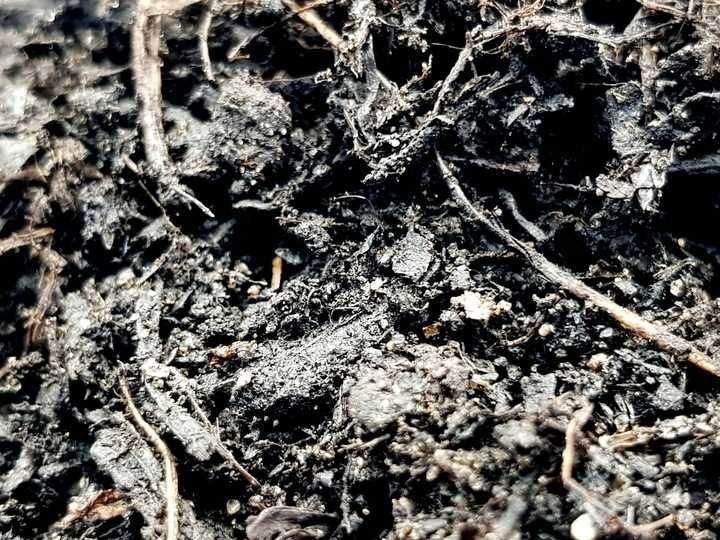 Kompovit idealne podłoże ogrodowe, poprawia glebę do trawników KOMPOST