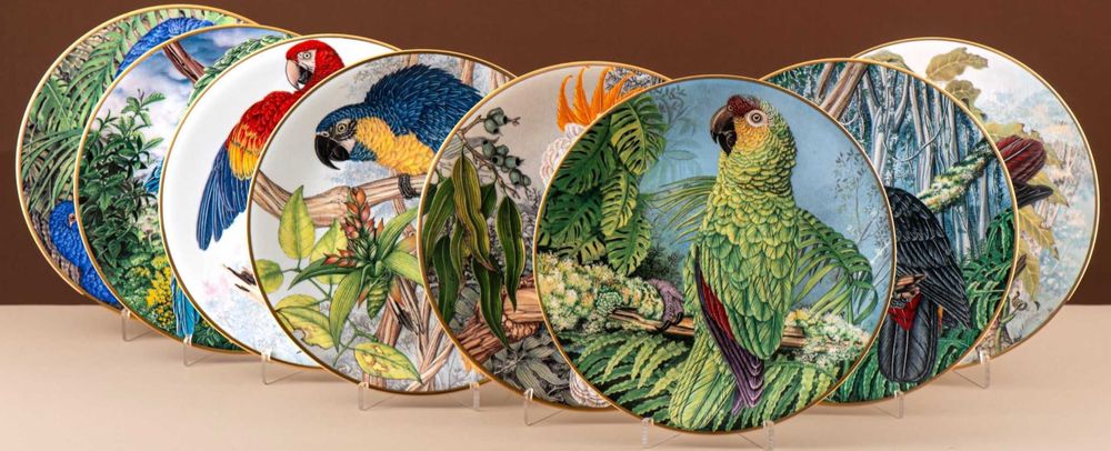 8 pratos Edição Limitada, Joias Vivas da Floresta Tropical.