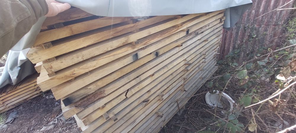 Brusy dębowe tarcica