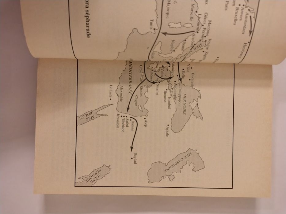 Histoire des juifs sépharades, de Esther Benbassa e Aron Rodrigue