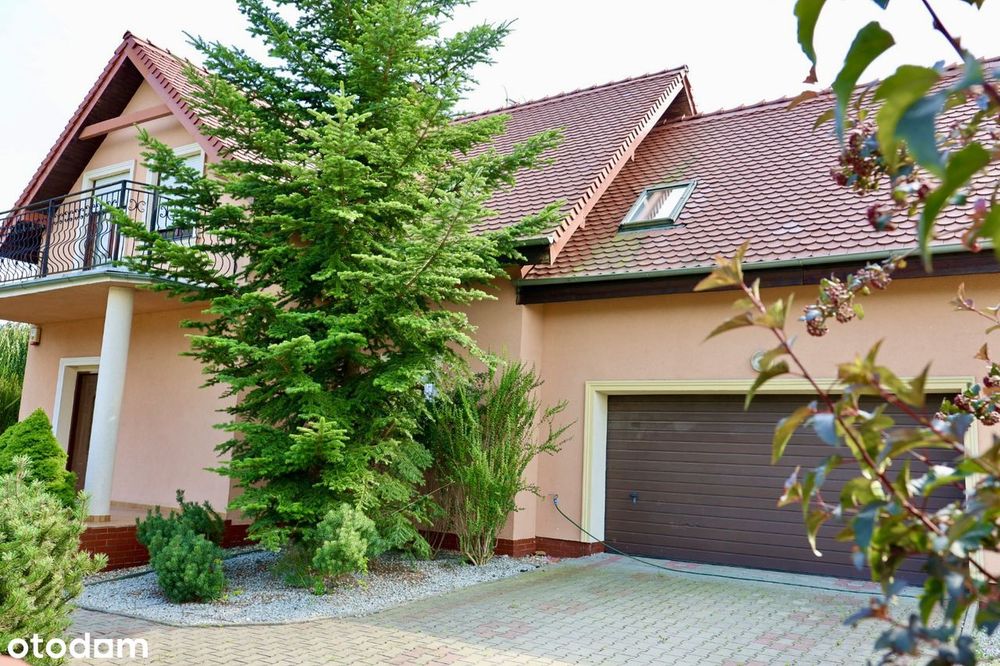 House in Legnica - View 3