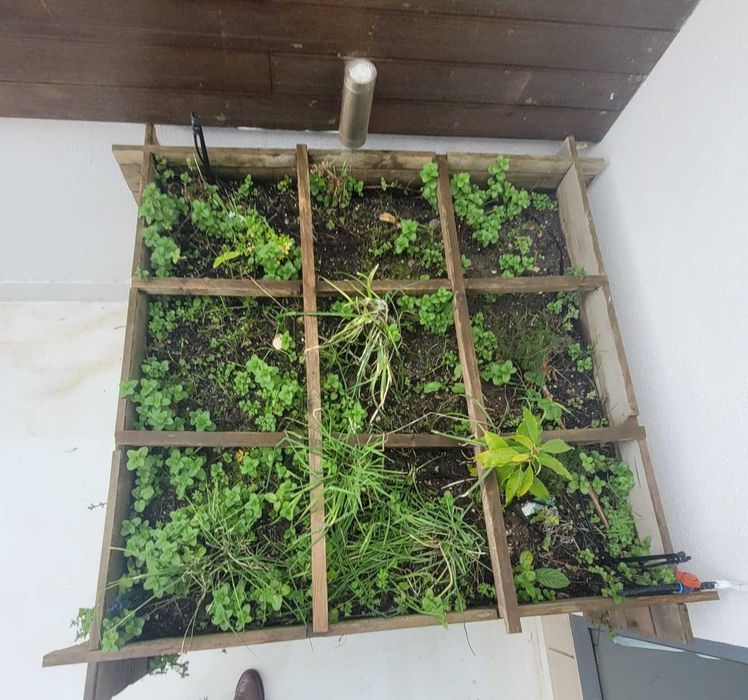 Horta-floreira elevada para ervas aromáticas e legumes