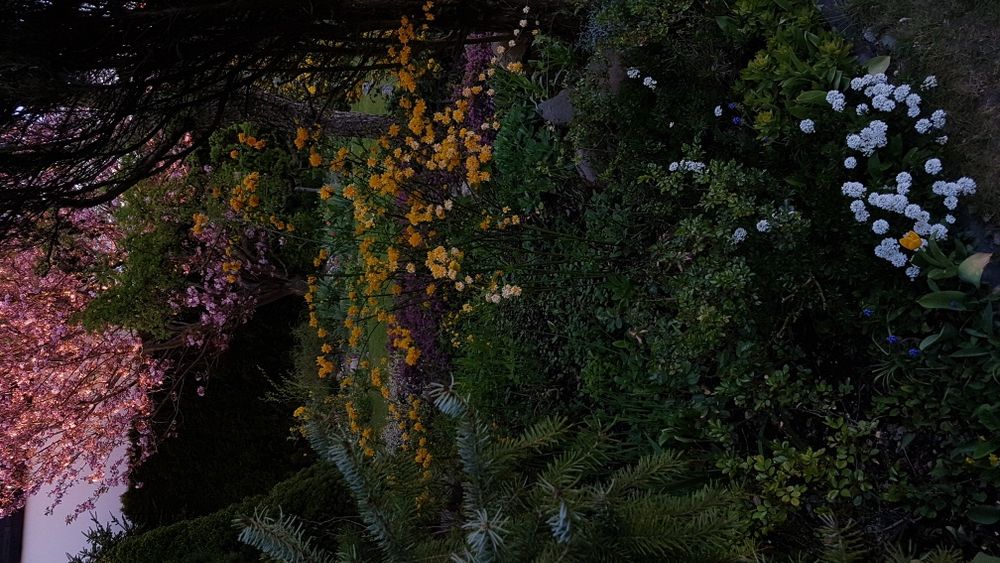 Projekt ogrodu przydomowego 1000m