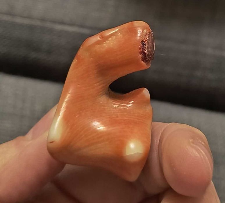 Duzy kawal naturalnego koralu