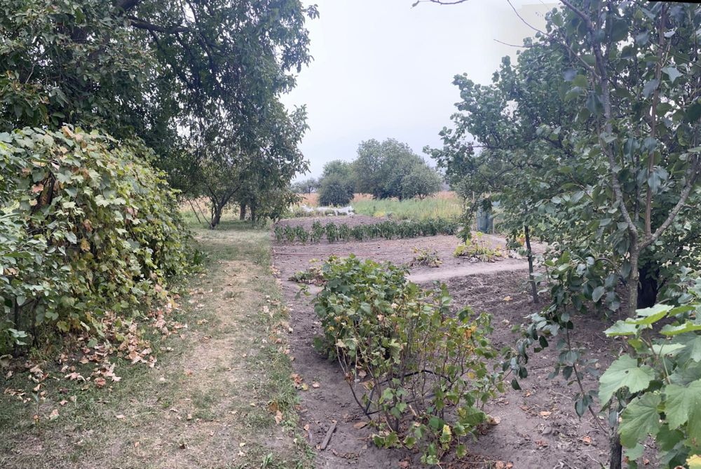 Продається будинок з ділянкою і господарськими будівлями