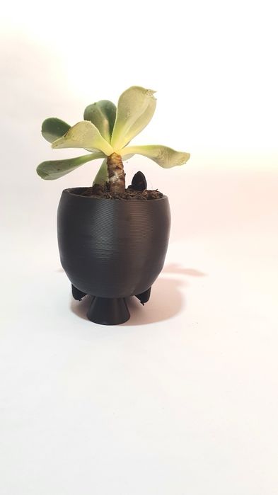 Vaso de caveira com borboletas