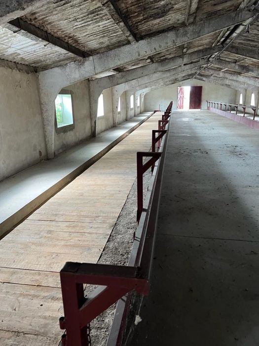 Молочно товарна ферма