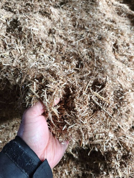 TMR suchy da cieląt,bogaty skład, soja, zboże,dodatki, big bag 500 kg