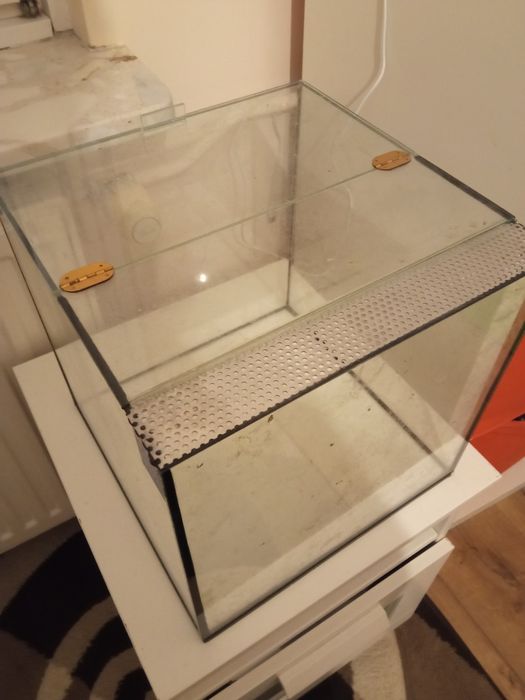 Terrarium 30 x 30 x 30 - Bydgoszcz Bartodzieje