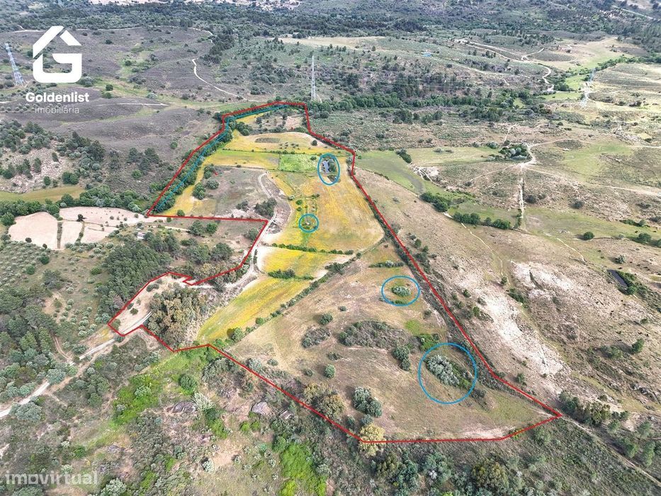 Terreno  Venda em Orca,Fundão