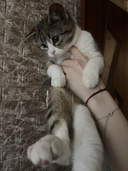 Гарна дівчинка шукає люблячу родину