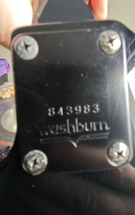 Washburn Chicago 24 tour