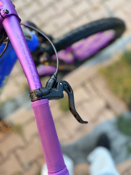 Marin Alcatraz 2023 custom