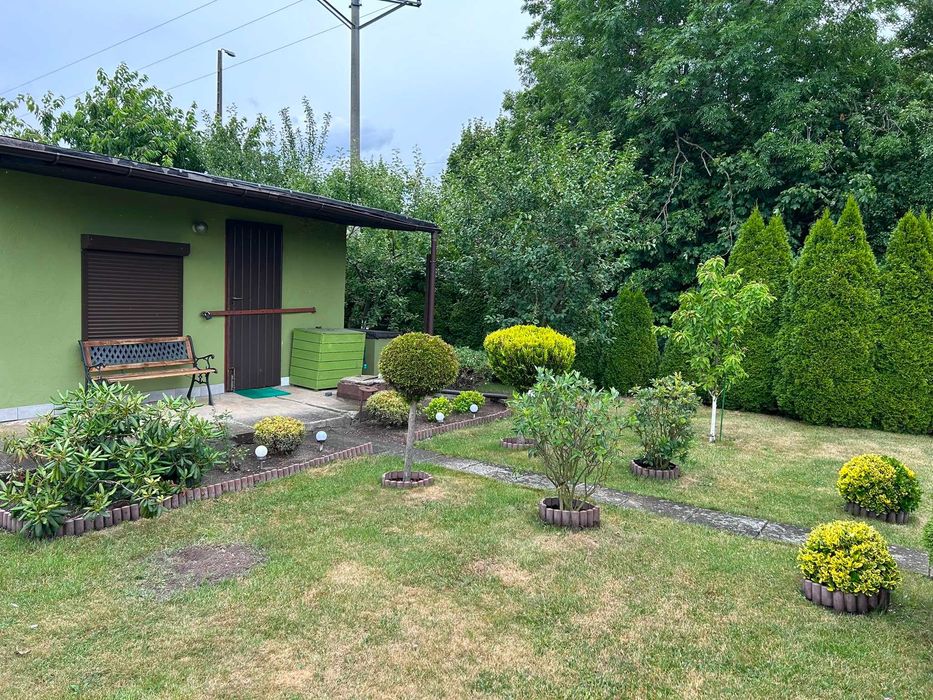 Działka rekreacyjna ROD Polna 2 (Kluczbork) - 312 m²