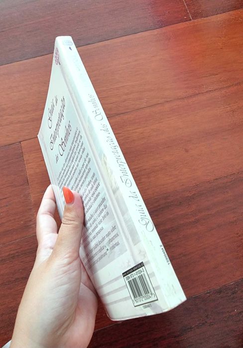 Livro "Guia da Interpretação dos Sonhos" de Louis Stanké