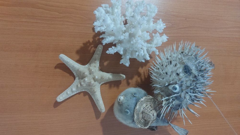 Продаются домовички морские сувениры