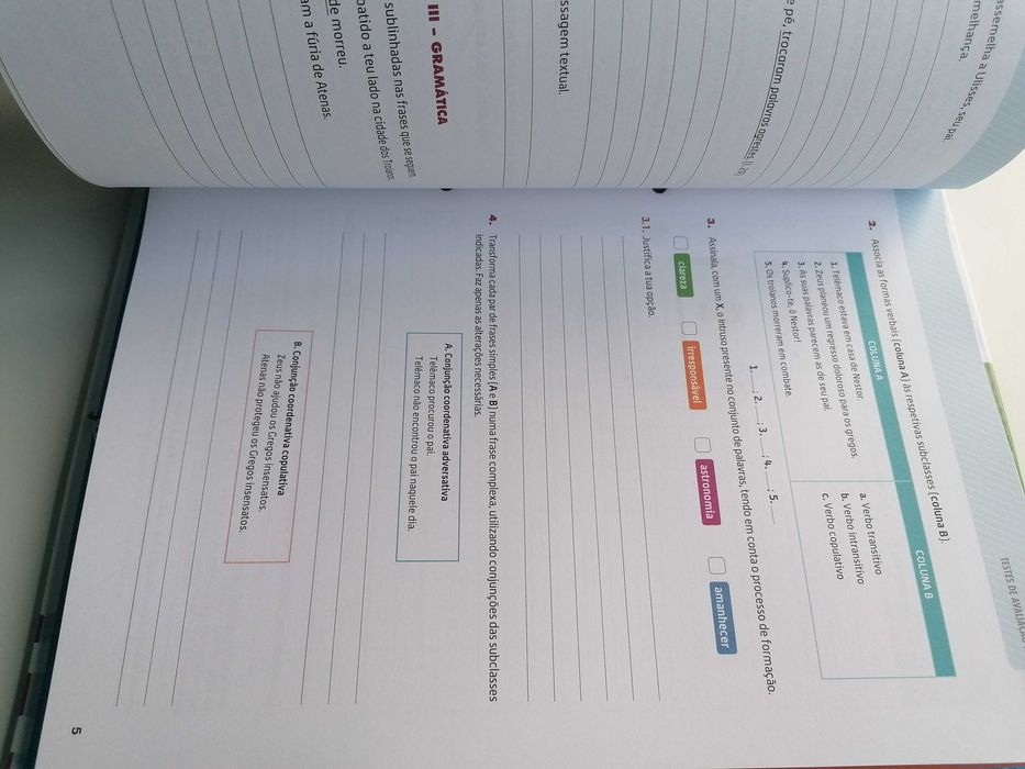 Dossier do professor de PT 7º areal