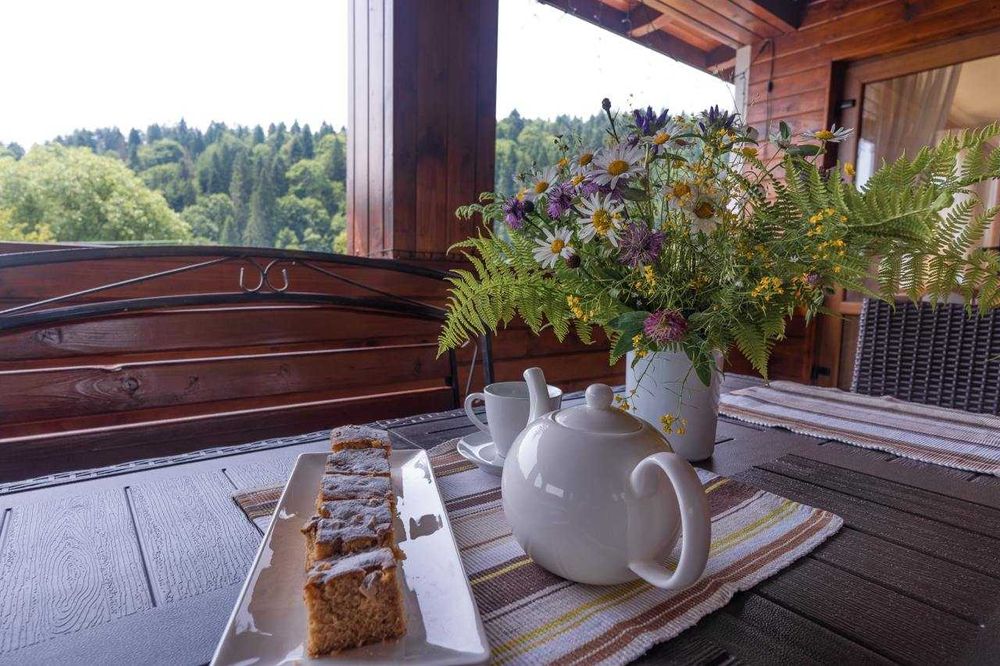 Продається будинок у серці Карпат зі СПА та критим басейном