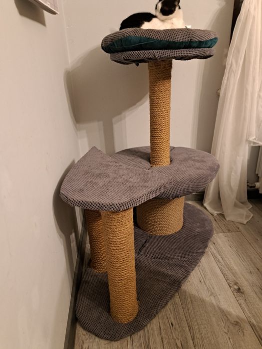 Solidny drapak dla kota