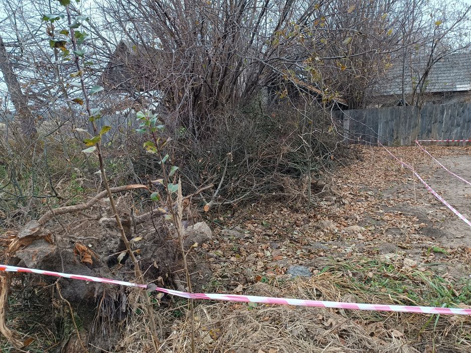 Darmowe Drewno Gałęziówka