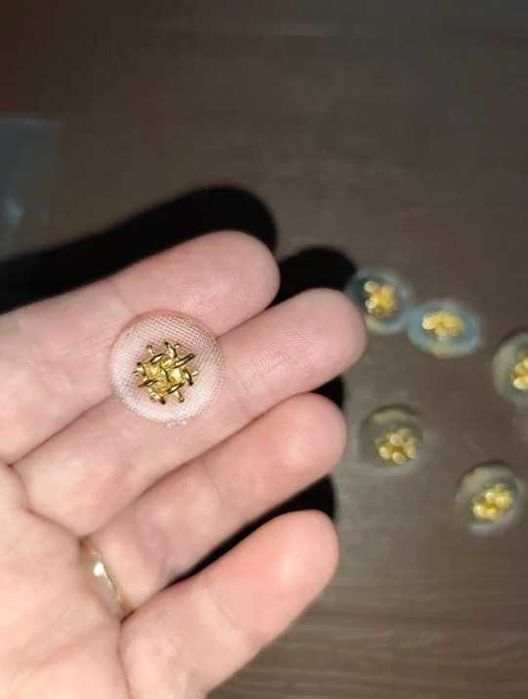 Zestaw 8 ozdobnych guzików transparentnych że złotym akcentem