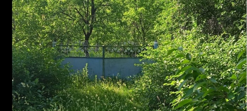 Здам  два будиночки з садом с Клішківці