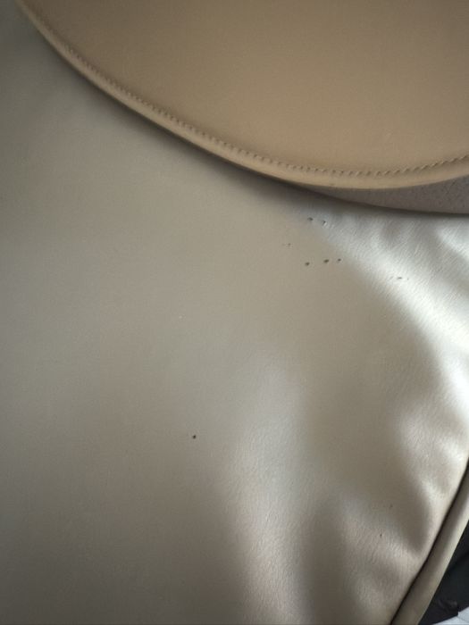 Anex e/type коляска 2в1