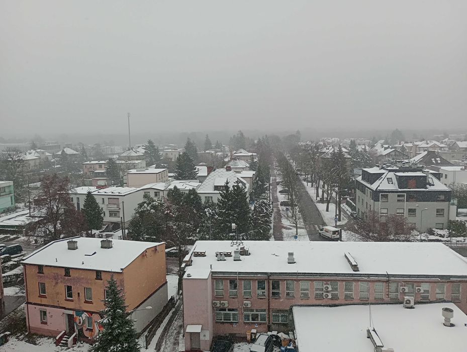 Jasne dwupokojowe mieszkanie na Dębcu